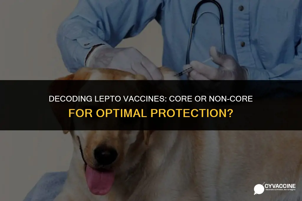 is lepto core or noncore vaccine