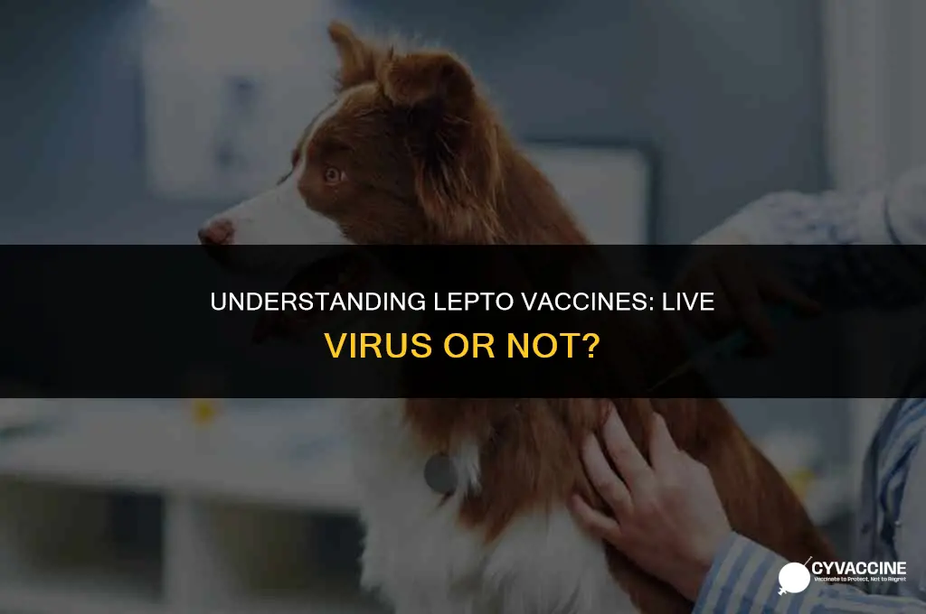 is lepto vaccine a live virus