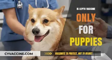Lepto Vaccine: Not Just for Puppies Anymore