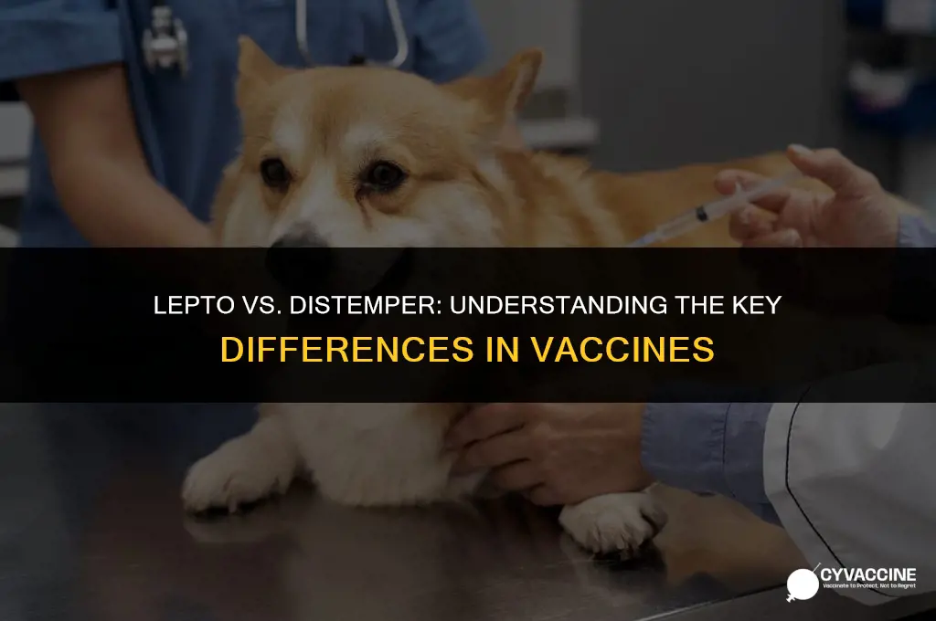 is lepto vaccine same as distemper
