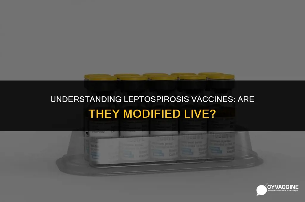 is leptospirosis a modified live vaccine