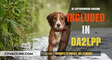 Decoding Pet Health: Leptospirosis Vaccine in DA2LPP Explained