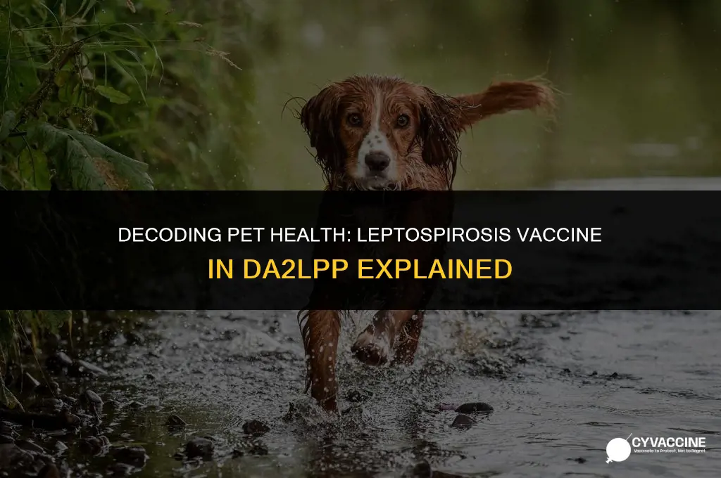 is leptospirosis vaccine included in da2lpp