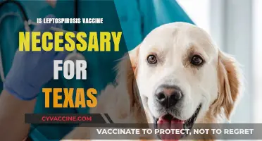 Is Leptospirosis Vaccine Necessary for Texas?