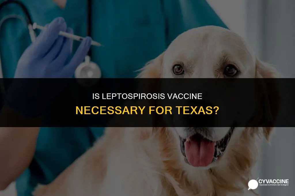 is leptospirosis vaccine necessary for texas