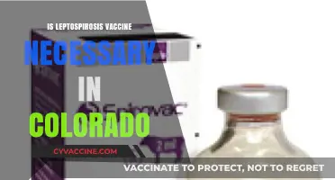 Is Leptospirosis Vaccine Necessary in Colorado?
