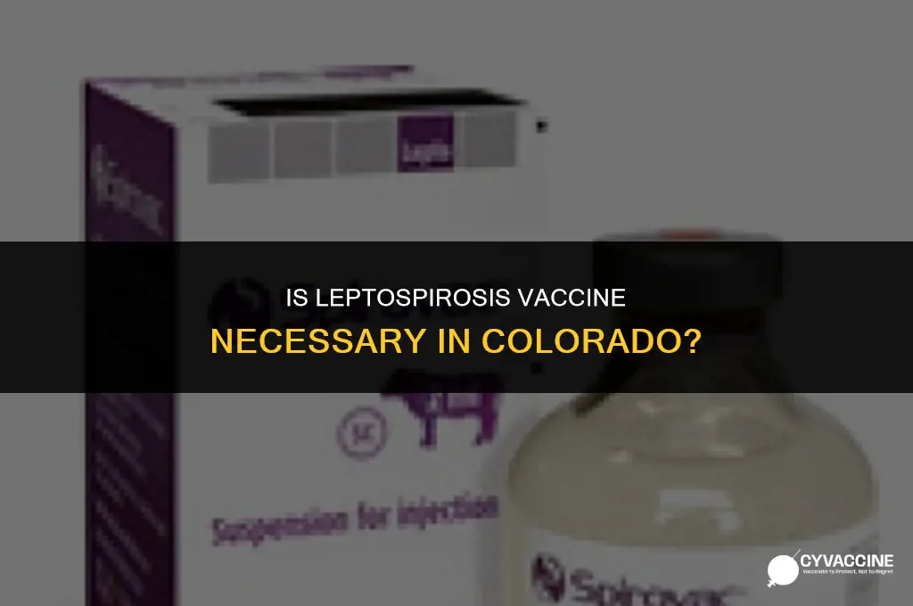 is leptospirosis vaccine necessary in colorado