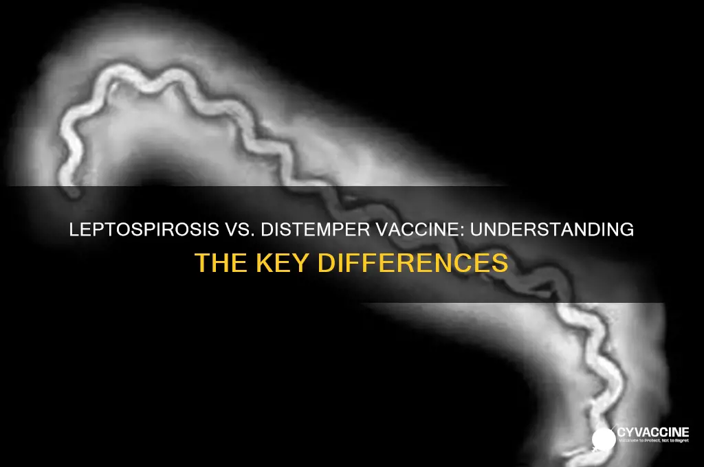 is leptospirosis vaccine the same thing as distemper