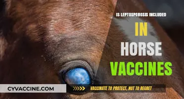 Protecting Equine Health: Do Horse Vaccines Cover Leptospirosis?