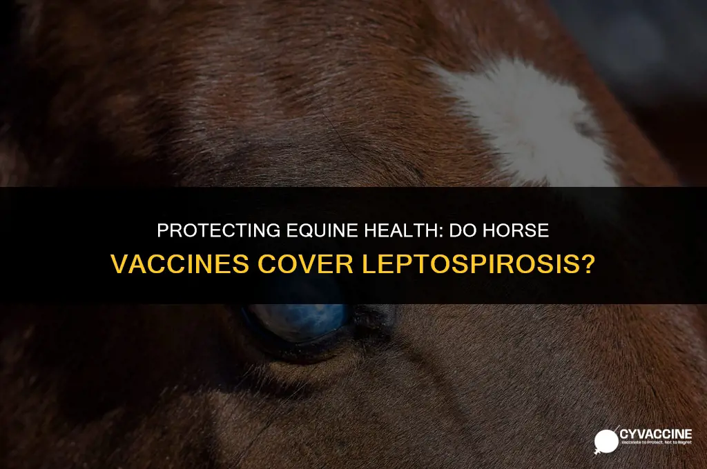 is leptosporosis included in horse vaccines