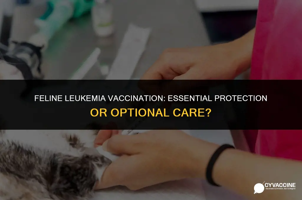is leukemia vaccination necessary for cats