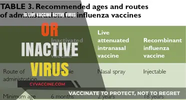 Live vs. Inactive Vaccines: Understanding Active and Inactive Virus Components