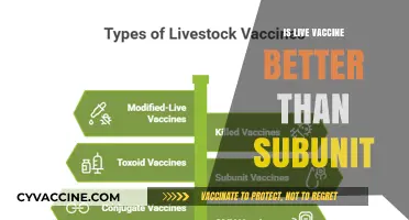 Exploring the Benefits: Live vs. Subunit Vaccines - Which is Better?