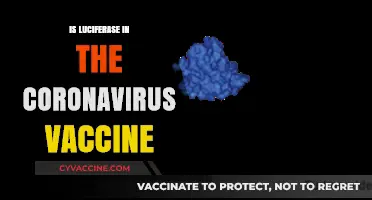 Unveiling the Truth: Luciferase and the COVID-19 Vaccine