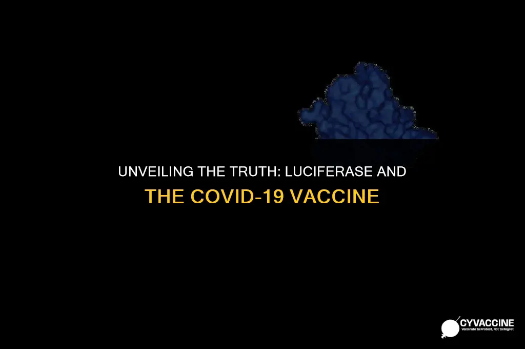 is luciferase in the coronavirus vaccine