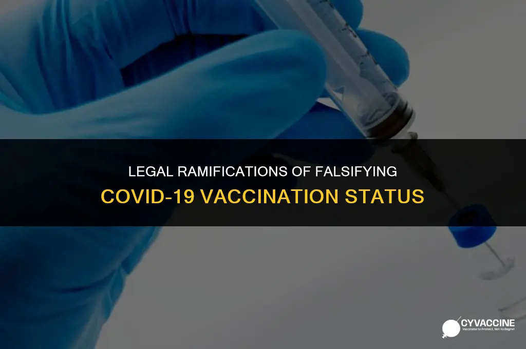 is lying about being vaccinated illegal