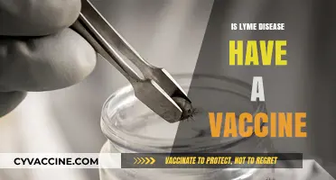 Exploring the Quest for a Lyme Disease Vaccine: Hope on the Horizon?