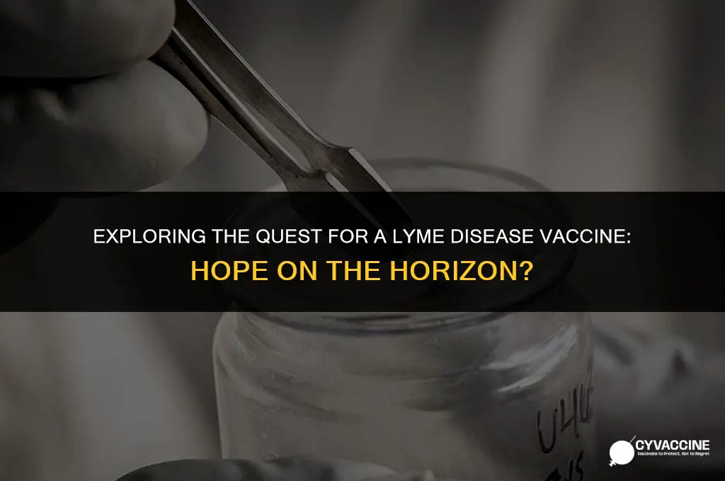 is lyme disease have a vaccine
