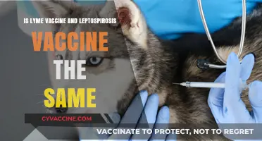 Lyme vs. Lepto Vaccines: Understanding the Key Differences