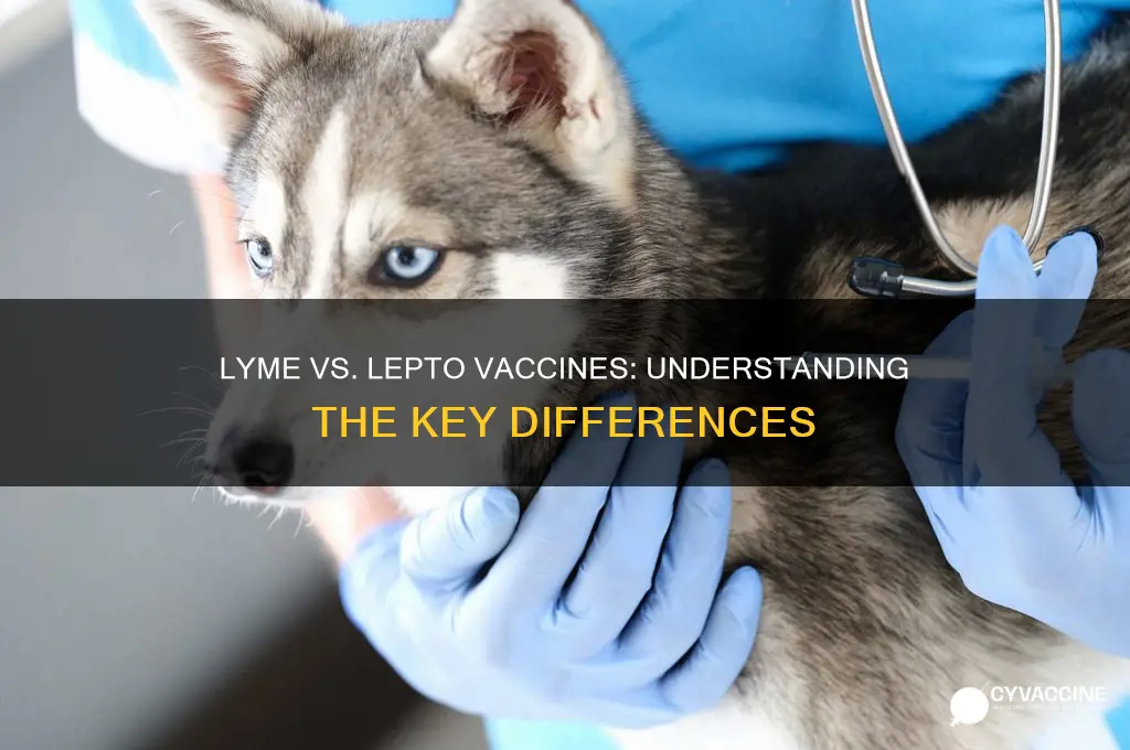 is lyme vaccine and leptospirosis vaccine the same