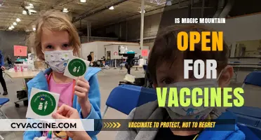 Magic Mountain's Vaccine Drive: Open for Shots and Thrills!