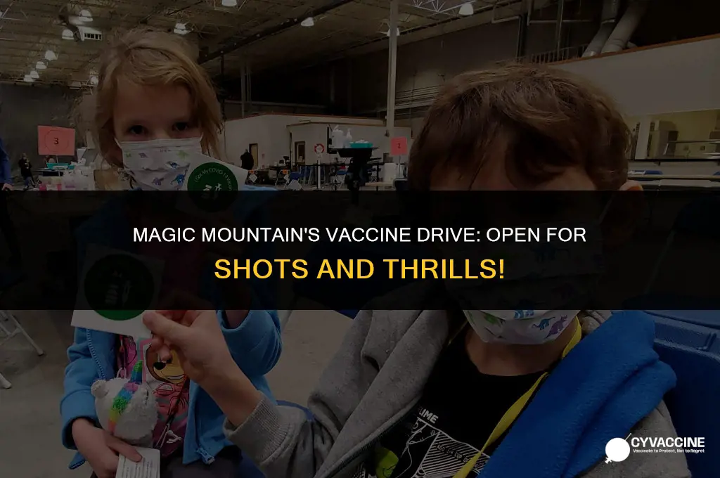 is magic mountain open for vaccines