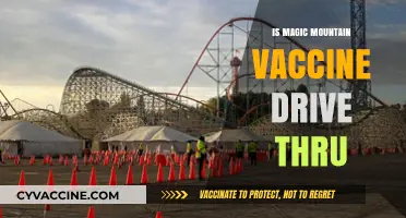 Magic Mountain Vaccine Drive-Thru: A Convenient Immunization Experience