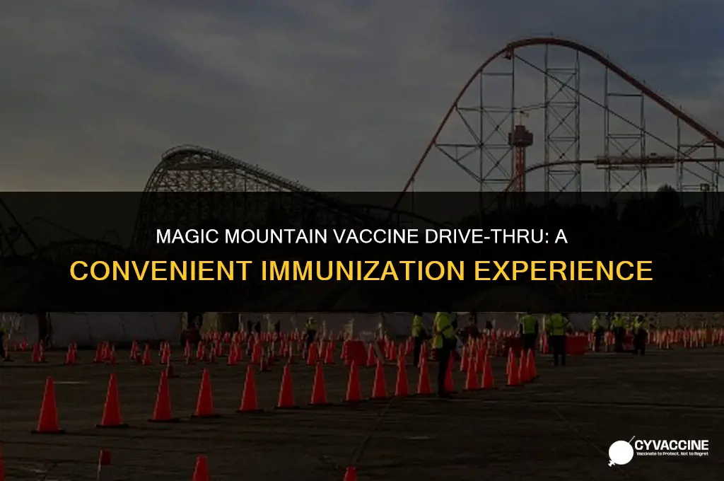 is magic mountain vaccine drive thru