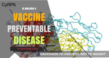 Combatting Malaria: The Quest for a Vaccine-Preventable Future