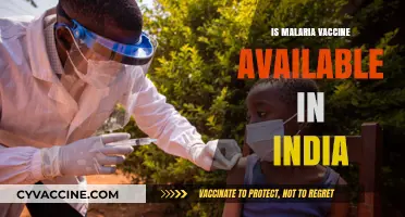 Combatting Malaria: The Availability of Vaccines in India