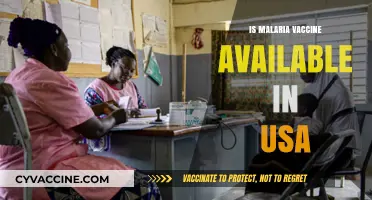 Combatting Malaria: The Quest for a Vaccine in the USA