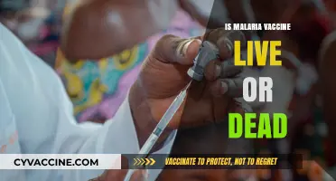 Decoding the Malaria Vaccine: Live or Dead?