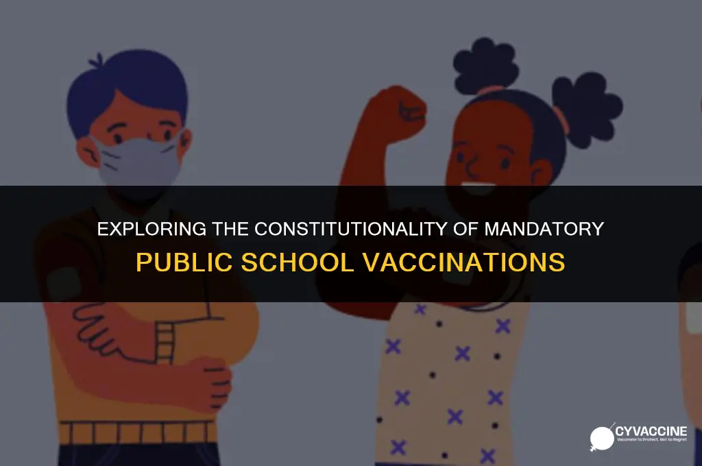 is mandatory public school vaccination constitutional