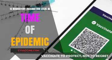 Is Mandatory Vaccination Legal During Epidemics? Exploring the Legal Debate