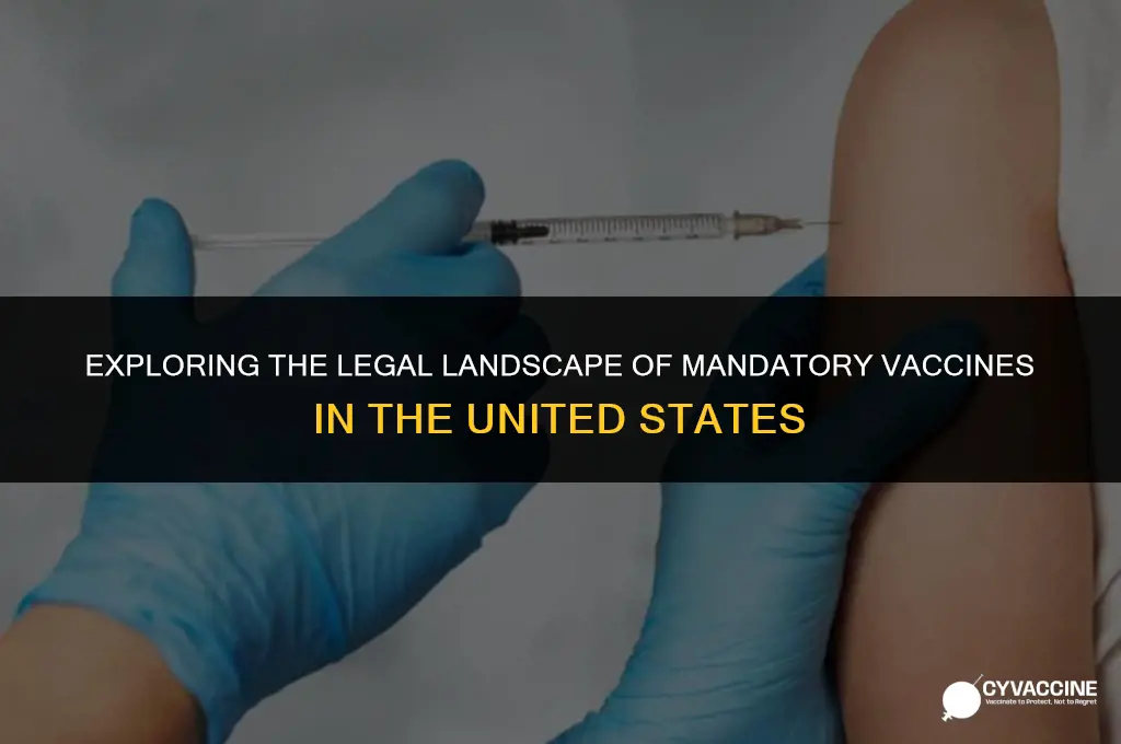 is mandatory vaccines a federal law
