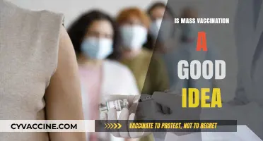 Evaluating the Benefits and Drawbacks of Mass Vaccination Programs