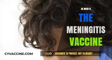 Understanding Meningitis Vaccine: Benefits, Risks, and Recommendations