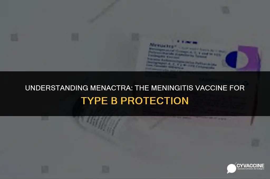 is menactra meningitis vaccine type b