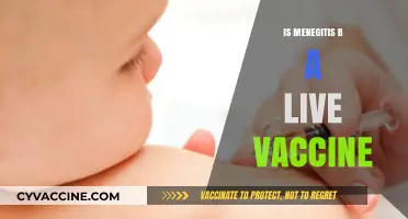 Understanding Meningitis B Vaccines: Are They Live or Inactivated?