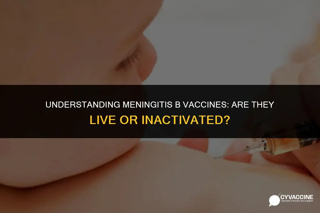 is menegitis b a live vaccine