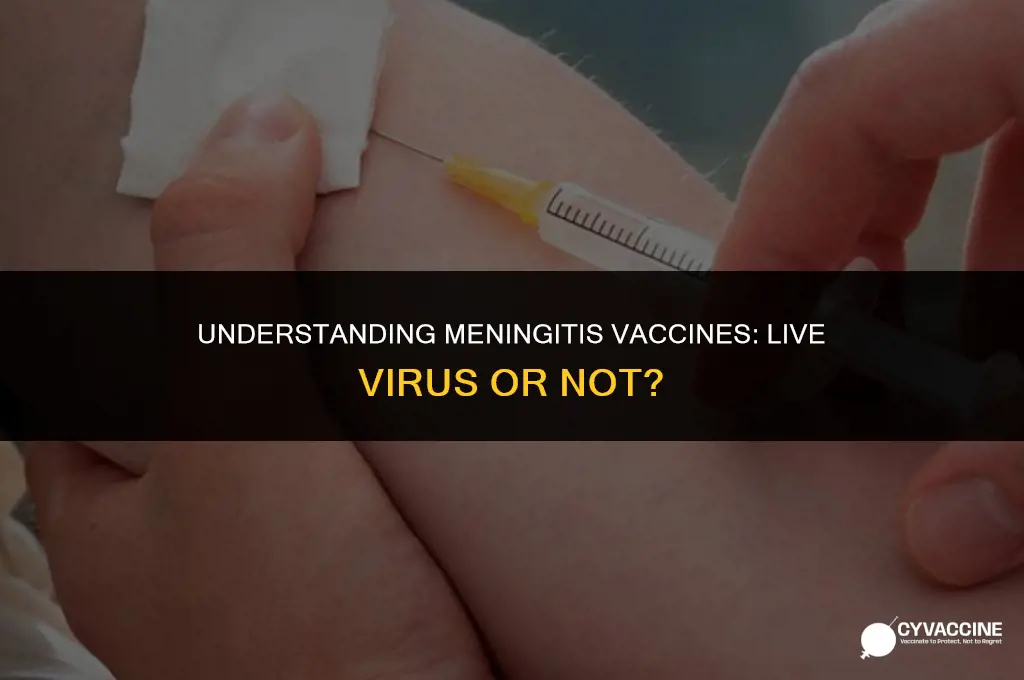 is meningitis a live virus vaccine