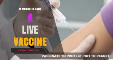 Understanding Meningitis ACWY: The Facts About Live Vaccines