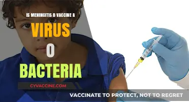 Meningitis B Vaccine: Understanding the Cause - Virus or Bacteria?