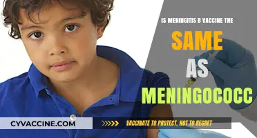 Meningitis B vs. Meningococcal Vaccine: Understanding the Key Differences
