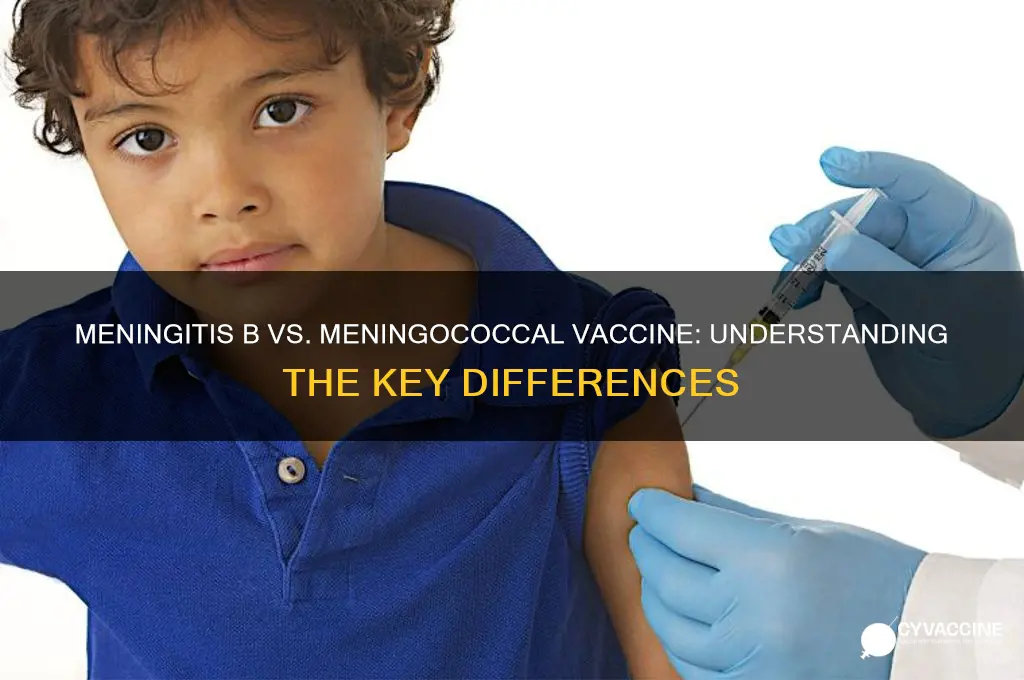 is meningitis b vaccine the same as meningococcal