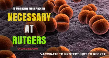 Is Meningitis Type B Vaccine Essential for Rutgers Students?