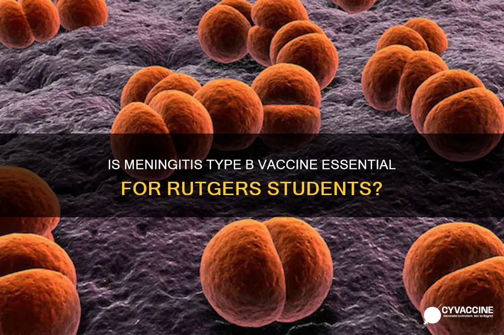 is meningitis type b vaccine necessary at rutgers