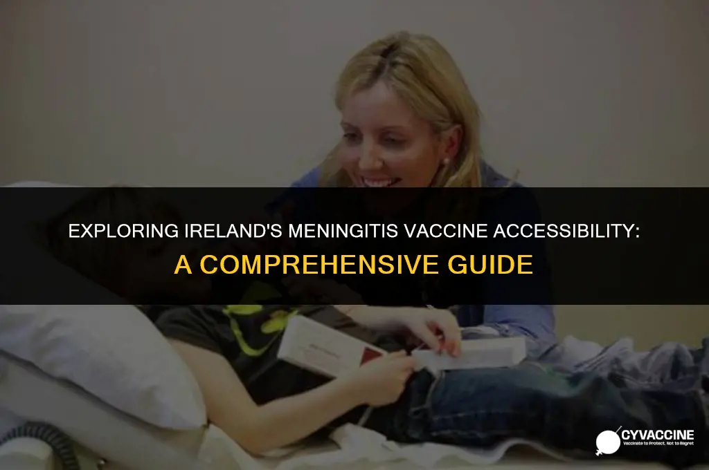 is meningitis vaccine free in ireland