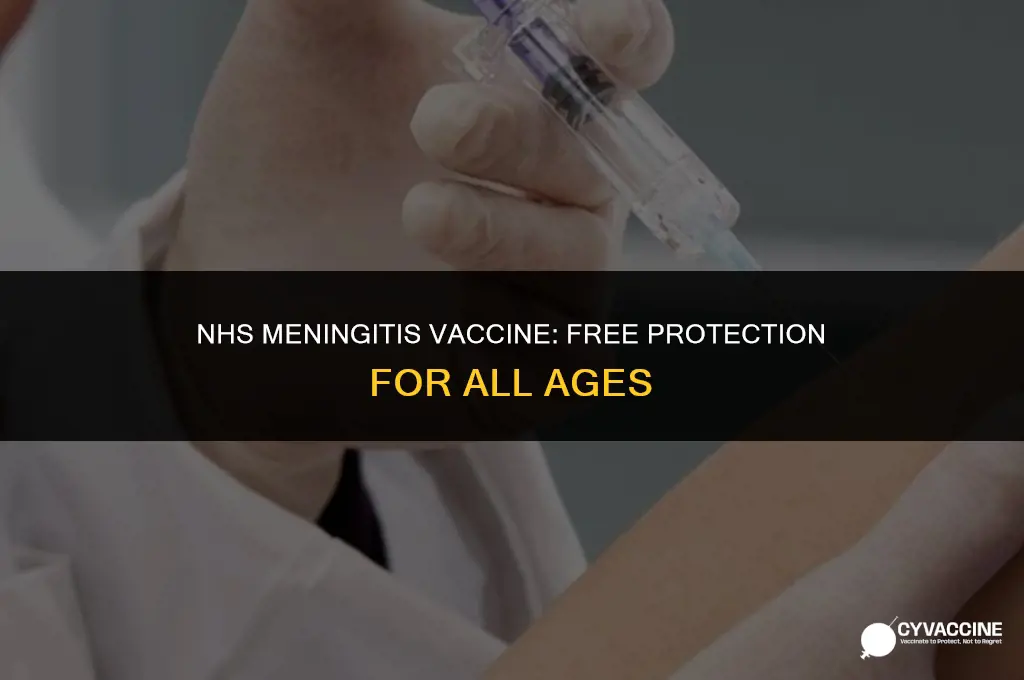 is meningitis vaccine free on nhs