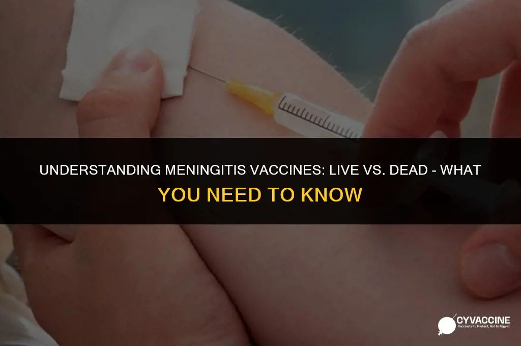 is meningitis vaccine live or dead